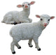 Yorkshire Lambs, Set of 2