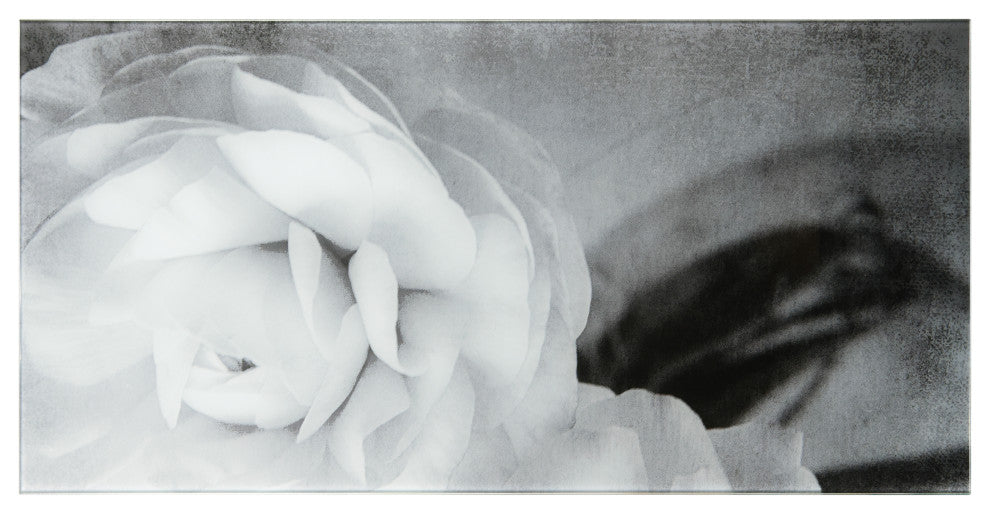 "Dark Ranunculus I B" Frameless Reverse Printed Tempered Art Glass Wall Art