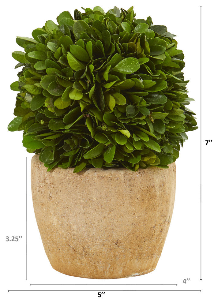 Nearly Natural 7ï¿½ Boxwood Ball Preserved Plant in Decorative Planter (Set of 2)