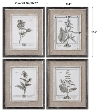 Casual Grey Study Framed Prints, Set of 4