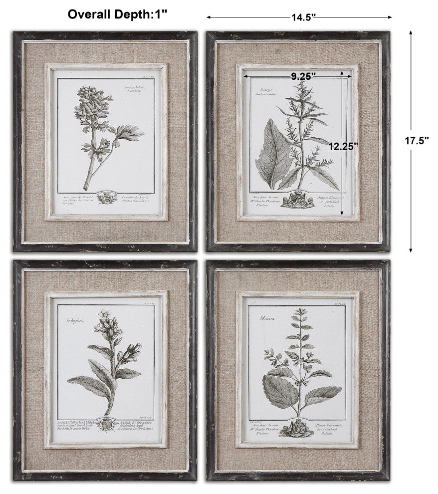 Casual Grey Study Framed Prints, Set of 4