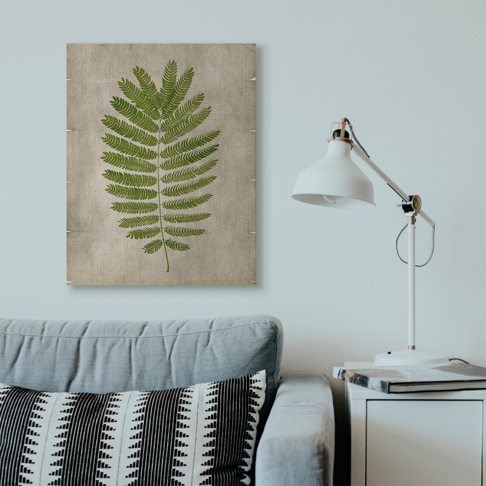 Plant Drawing Parchment Green Design, 30"x40", Canvas Art