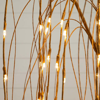  White background, close-up of illuminated sections.