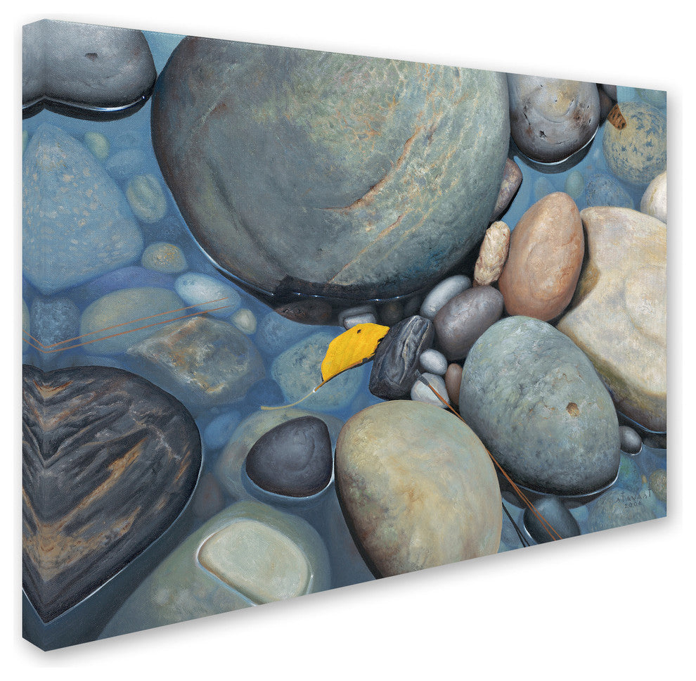 'Reflections on a Gray Day' Canvas Art by Stephen Stavast