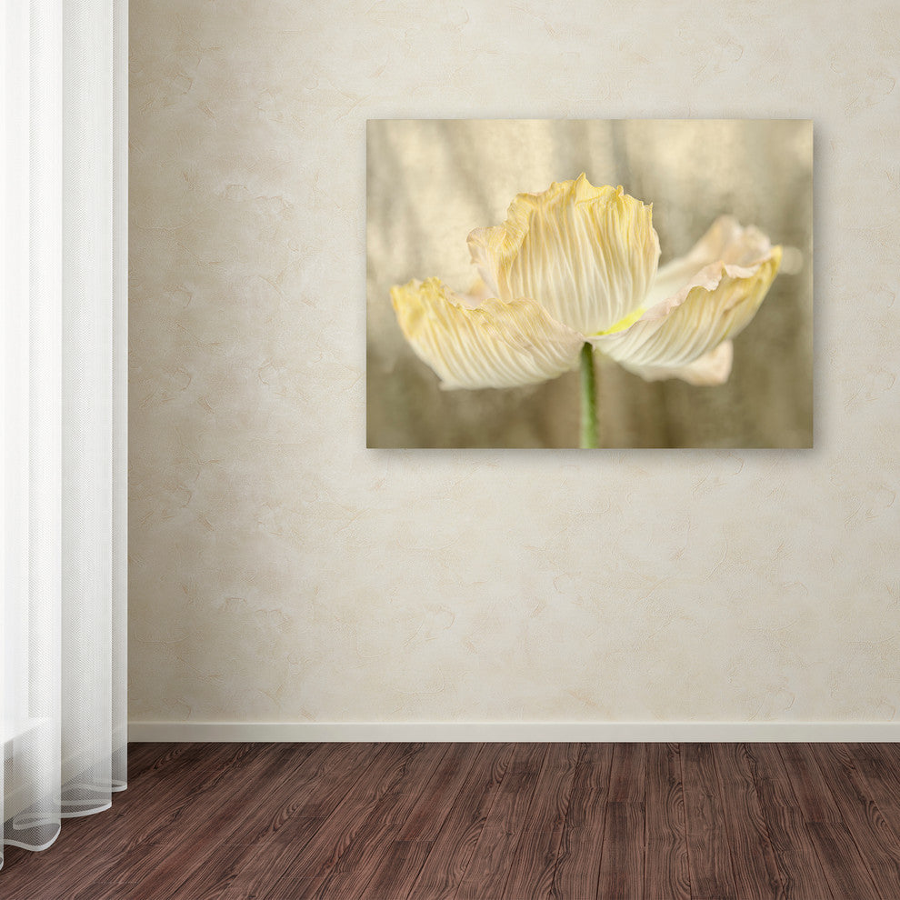 Cora Niele ''Sunshine Poppy'' Canvas Art