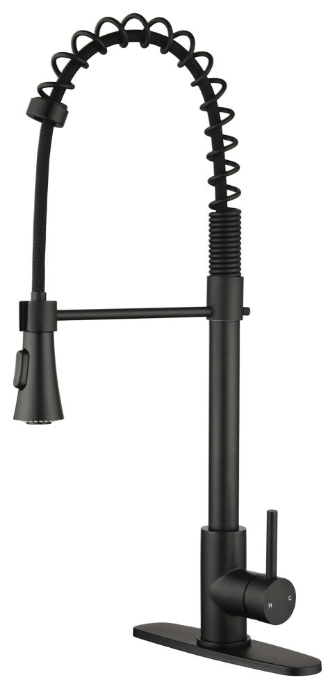 Wellfor Stainless Steel Pull Down Kitchen Faucet With Deck Plate, Matte Black