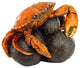Design Toscano Coastal Crab Garde Statue