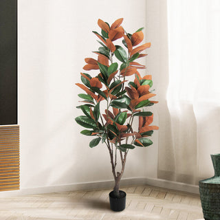 Lifestyle image showing the plant in a room setting.