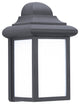 Generation Lighting Lighting 1-Light Outdoor Lantern, Black