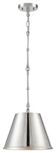 Savoy 7-132-1-109, Alden 1 Light Polished Nickel Pendant