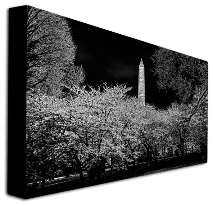 ''The Washington Monument at Night'' Canvas Art by Lois Bryan