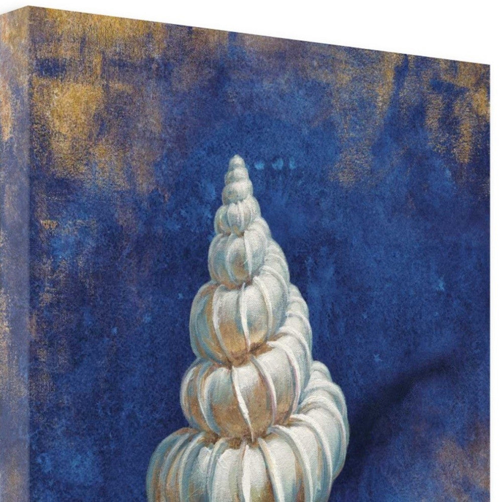 35" Rustic Deep Blue and Gold Shell Giclee Wrap Canvas Wall Art