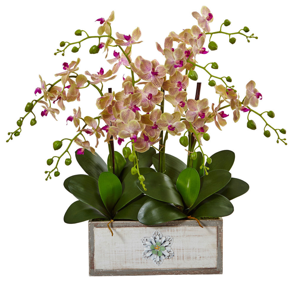 Phalaenopsis Orchid Arrangement, Decorative Wood Planter
