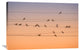 "Music Of Light" Stretched Canvas Giclee by John Fan, 36x24"