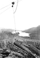 Logging Scene- Gallery Wrapped Canvas Art 28" x 42"