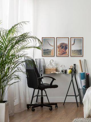 Cow's Eye View Triptych, 3-Piece Set, 16x24 Panels