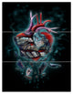 "Stone Heart Revival" Glossy Metal Wall Art, 3 Panels, 28"x36"