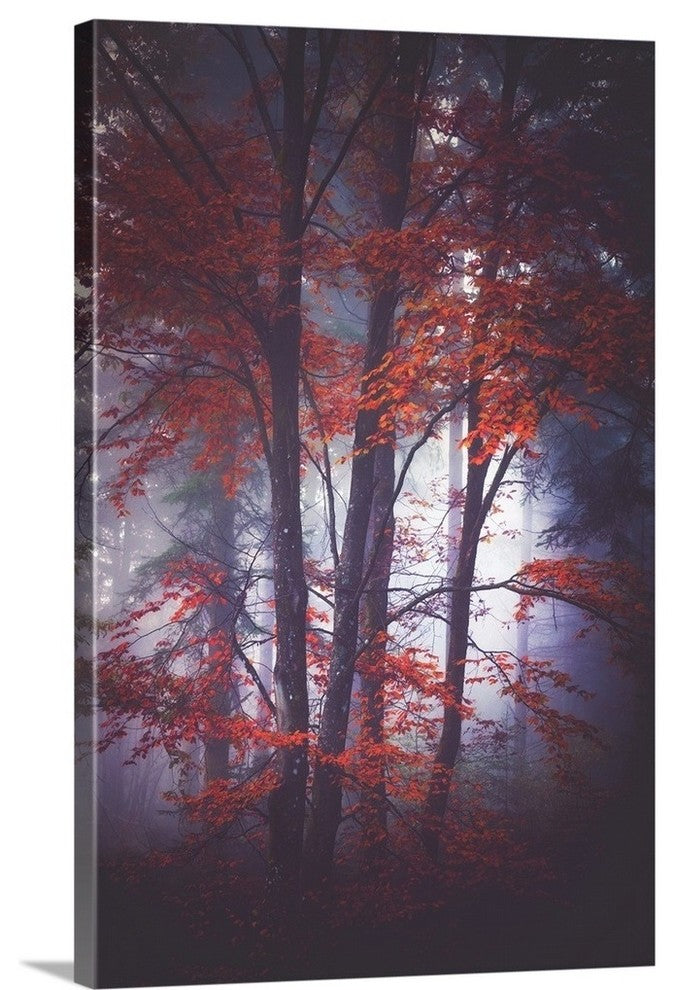 "Tenderly" Wrapped Canvas Art Print, 32"x48"x1.5"