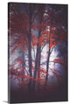 "Tenderly" Wrapped Canvas Art Print, 32"x48"x1.5"