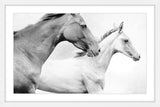 Marmont Hill, "Side by Side" Framed Painting Print, 18x12