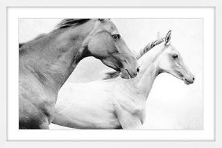 Marmont Hill, "Side by Side" Framed Painting Print, 18x12