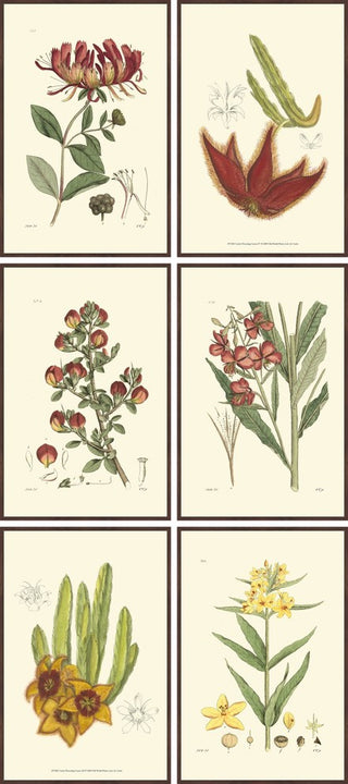 Colors of Fall Hexaptych, 48x108