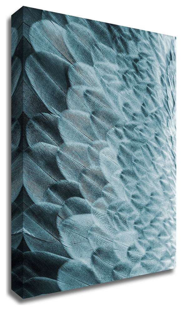 Volture I by Design Fabrikken, Print on Canvas, 30"x42"