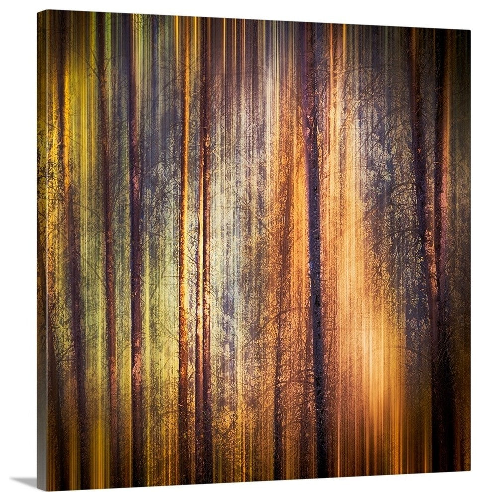"Autumn Walk " Wrapped Canvas Art Print, 20"x20"x1.5"