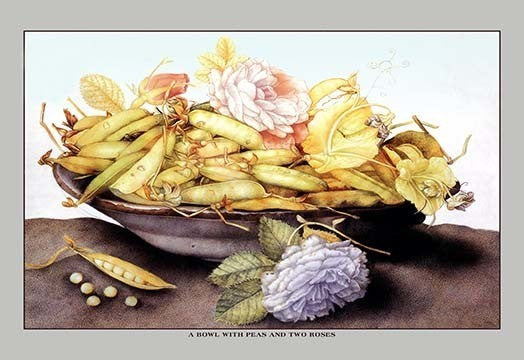 A Bowl with Pears and Two Roses- Gallery Wrapped Canvas Art 28" x 42"