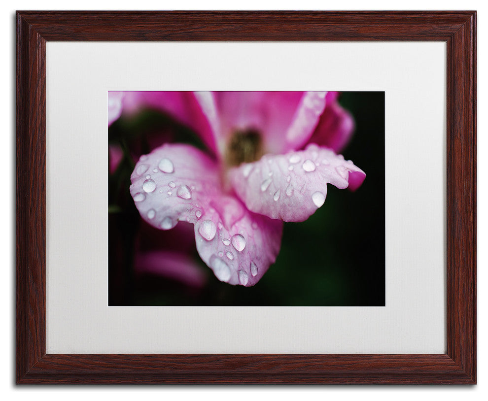PIPA Fine Art 'Raindrops on Wild Rose Color' Matted Framed Art, 20x16