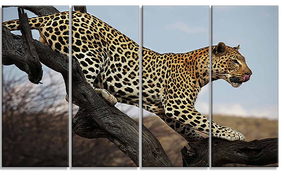 Leopard Walking on Tree, African Canvas Art Print, 48"x28", 4 Panels
