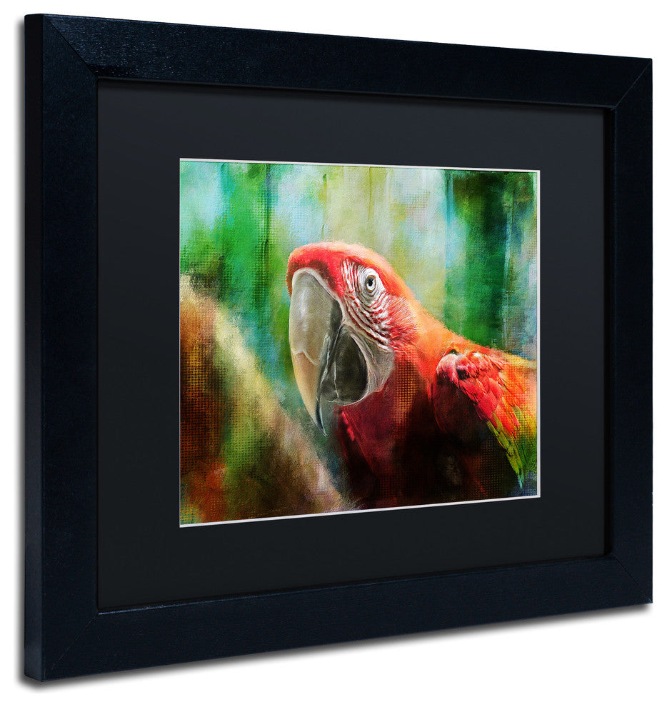 Lois Bryan 'Green Winged Macaw' Art, Black Frame, Black Matte, 14"x11"