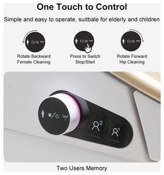 Smart One-Piece 1.27 GPF Floor Mounted Elongated Toilet and Bidet with Seat, Gold