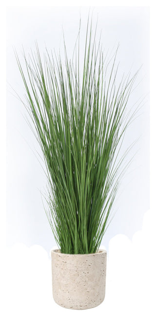 Grass in Grey Wash Pot