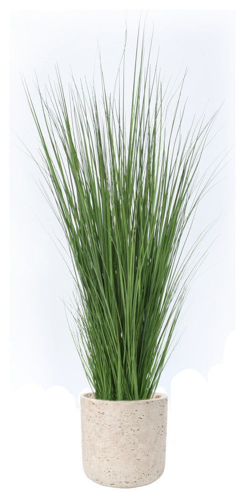 Grass in Grey Wash Pot