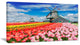 Dutch Windmills and Garden, Abstract Canvas Wall Art, 32x16