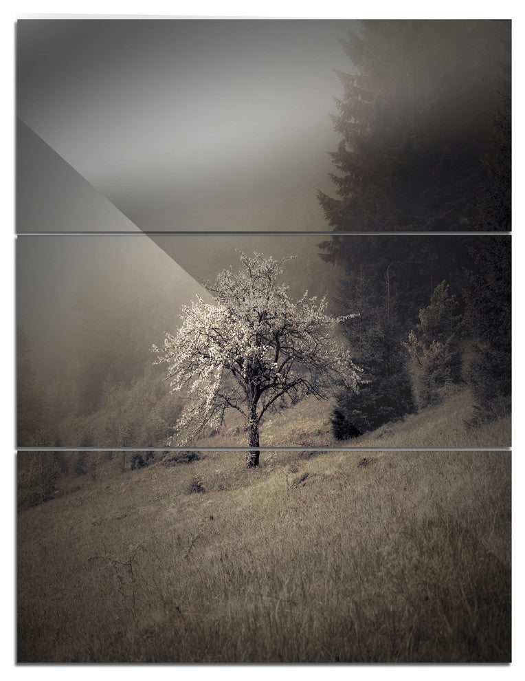 "Apple Tree Vintage-Style" Photo Metal Wall Art, 3 Panels, 28"x36"