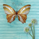 Wall Butterfly with Copper and Pearl