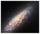 "Spiral Galaxy NGC6503" Digital Paper Print by NASA, 38"x32"