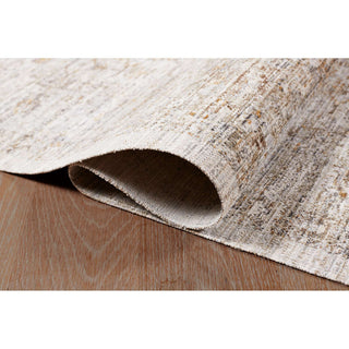 Ava Distressed Arabesc Area Rug - Silver, 2'x3'