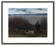 Dog, Boy and St. John River, 1958