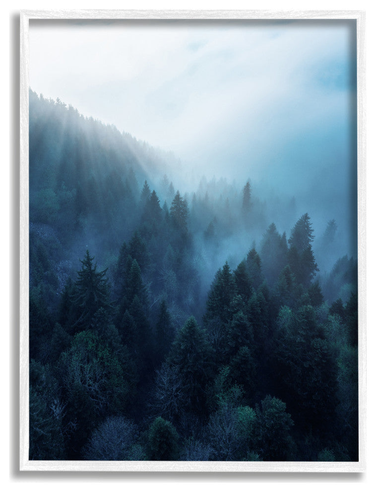 Daylight over Pine Forest Mountain with Fog, 11 x 14