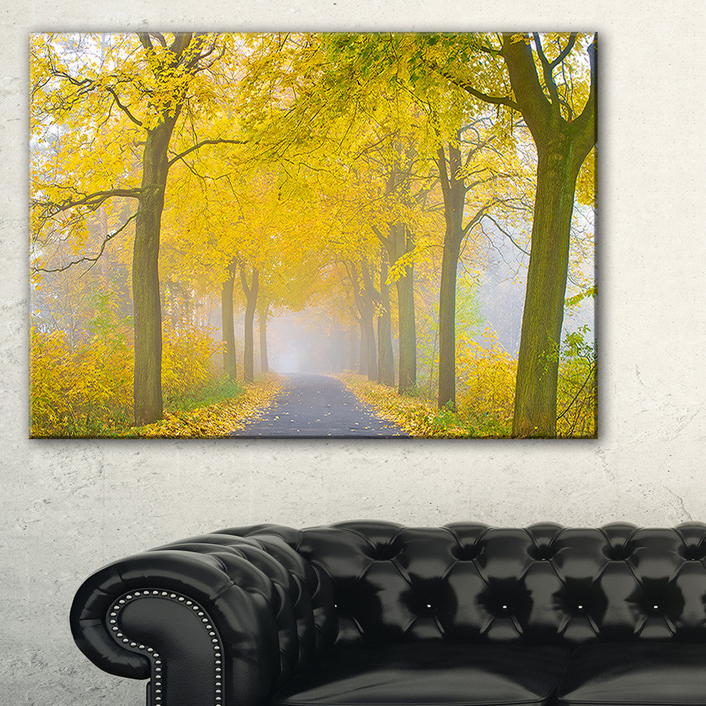 "Misty Road in Yellow Autumn Forest" Photograph Print, 32"x16"