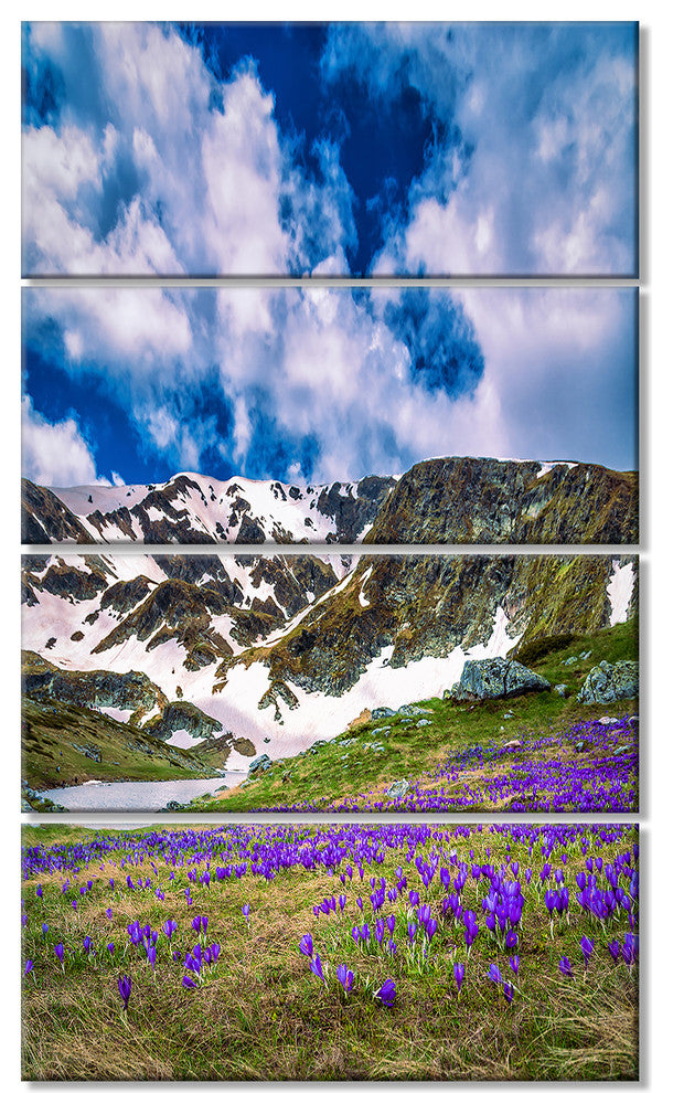 "Spring Blooming Crocus Flowers" Canvas Print, 4 Panels