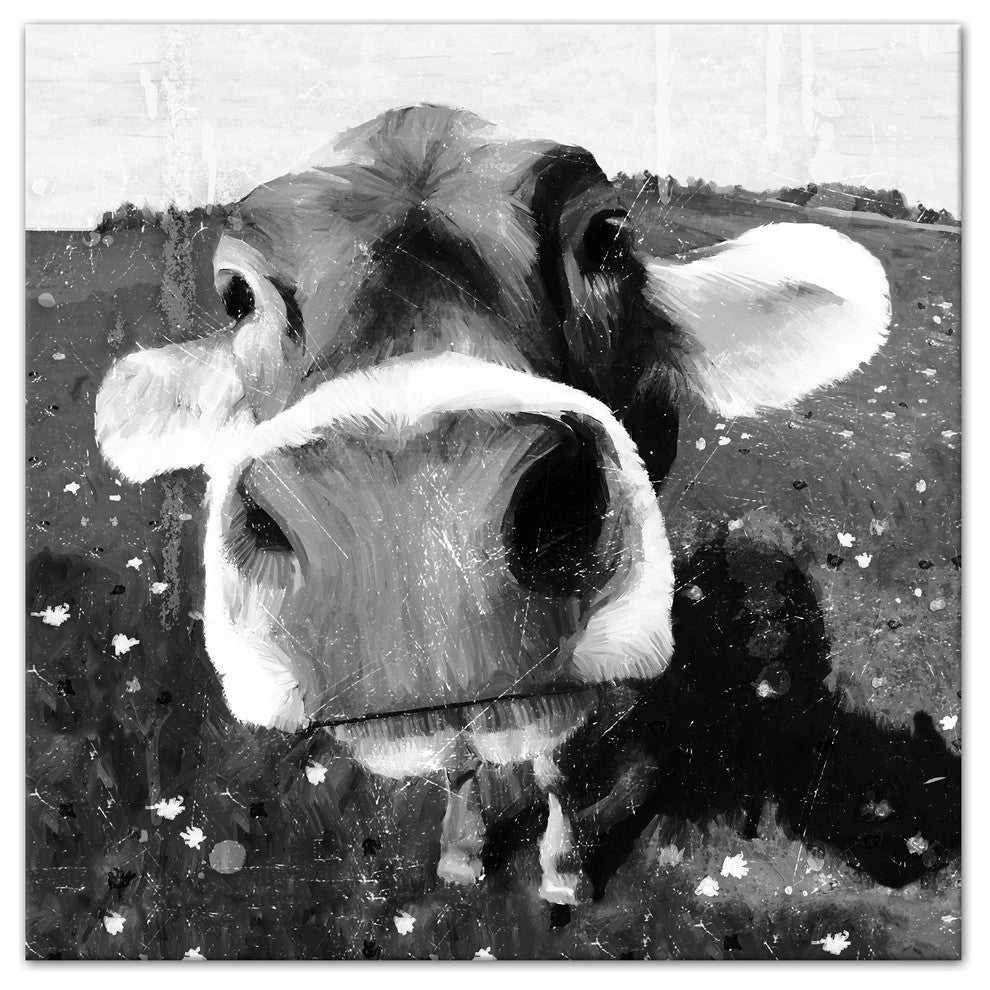 Cow Close-Up Wall Art, 24"x24", Canvas