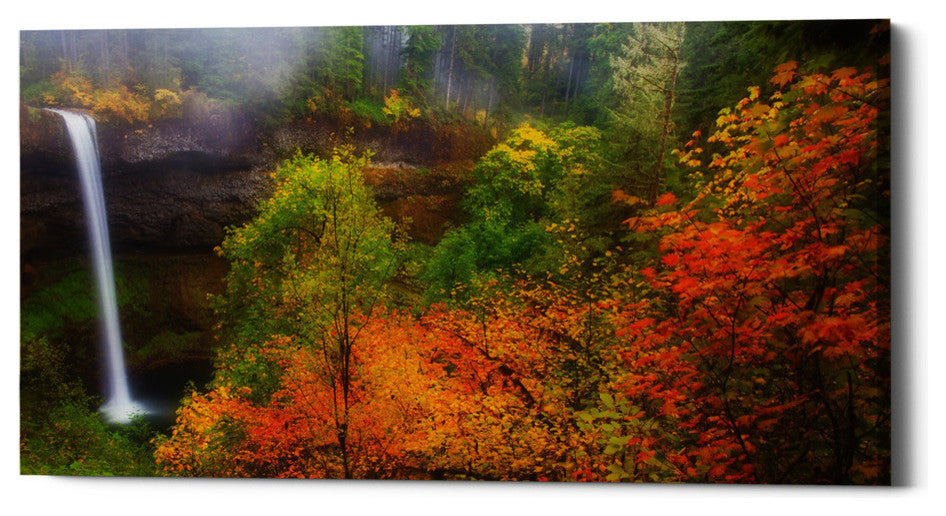 Epic Graffiti "Silver Falls" by Darren White, Giclee Canvas Wall Art, 20"x40"
