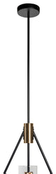 Everly Single Light Metal and Glass Pendant, Black and Brass