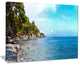 "Wild Blue Beach Panorama View" Seashore Wall Art, 20"x12"