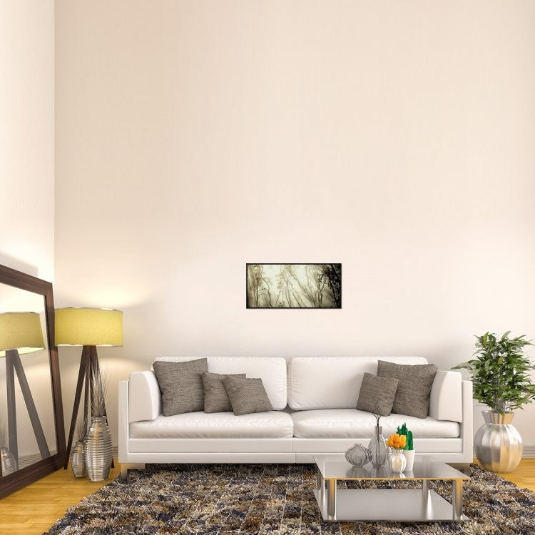 "Fog" Framed Canvas Giclee by Jorge Feteira, 31x15"