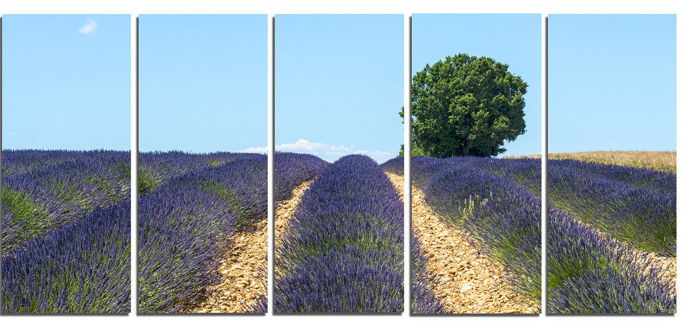 Beautiful Rows of Lavender in France, Landscape Canvas Art, 60"x28", 5 Panels